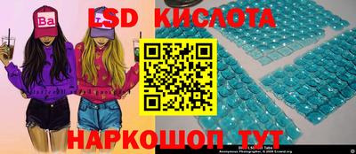 spice Заводоуковск