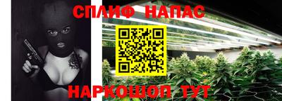 spice Заводоуковск
