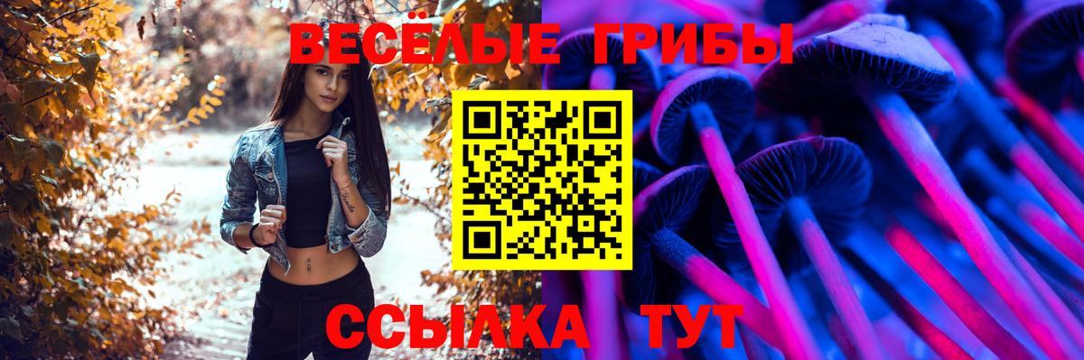 Арзамас  Галлюциногенные грибы Psilocybine cubensis  Вход с VPN 